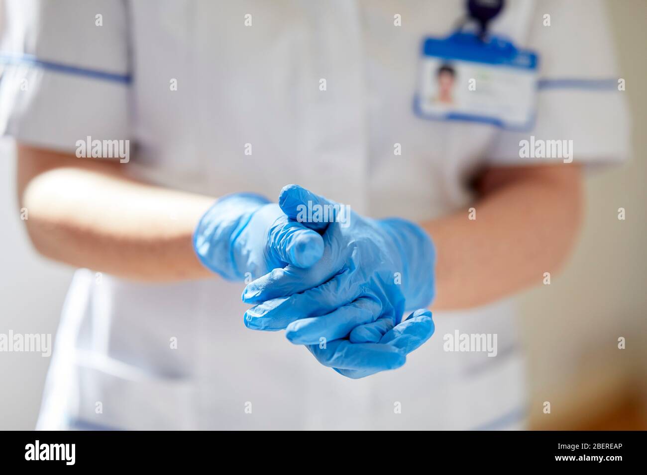 Nurse putting on vinyl gloves Stock Photo