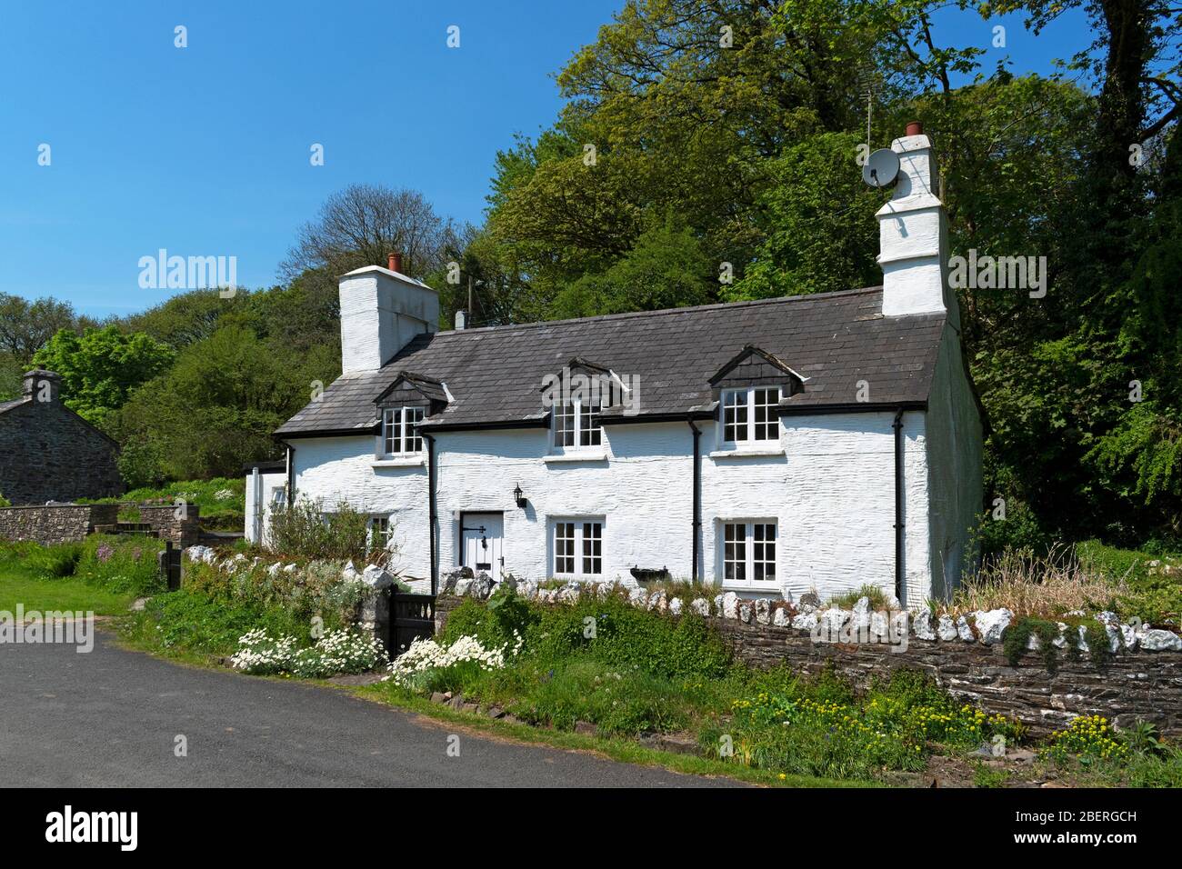 charming white stone cottage in the village of altarnun in cornwall,  england, uk Stock Photo - Alamy