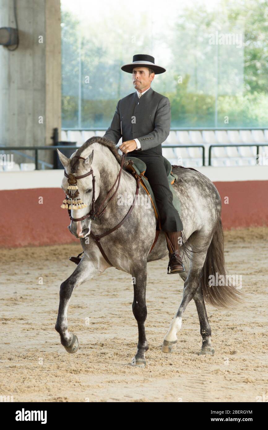 Spanish Horse Rider High Resolution Stock Photography and Images Alamy