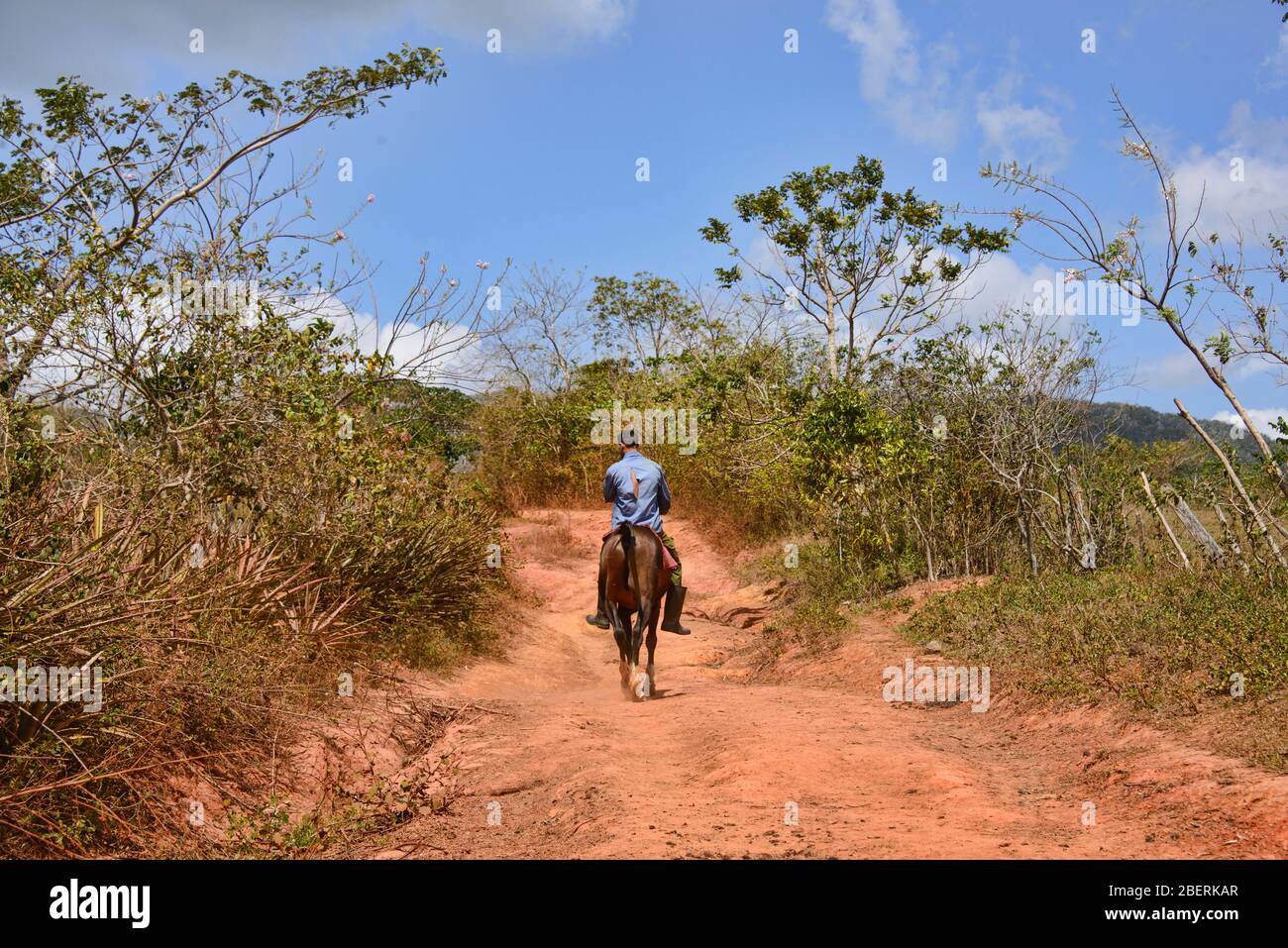 Horse riding in the Viñales Valley, Cuba Stock Photo