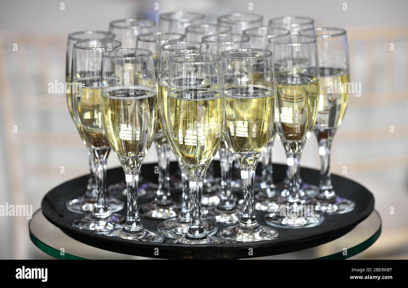 A tray of full Champage glasses at a drinks reception in Birmingham City Centre, England, UK Stock Photo