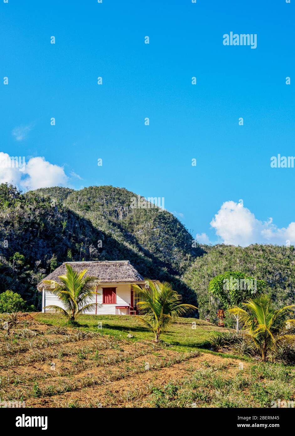 Los Acuaticos Mount, Vinales Valley, UNESCO World Heritage Site, Pinar