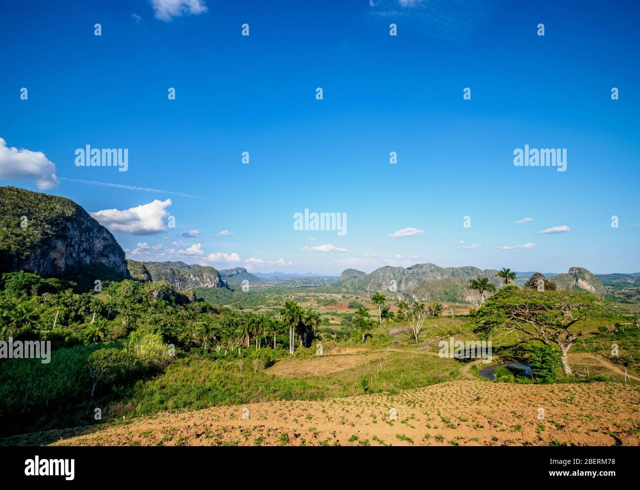 Vinales Valley, landscape from Los Acuaticos Mount, UNESCO World