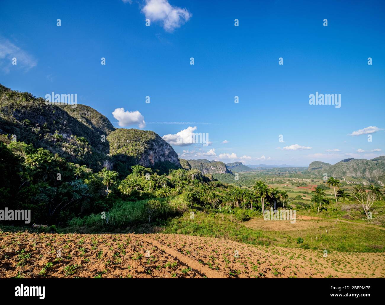 Vinales Valley, landscape from Los Acuaticos Mount, UNESCO World