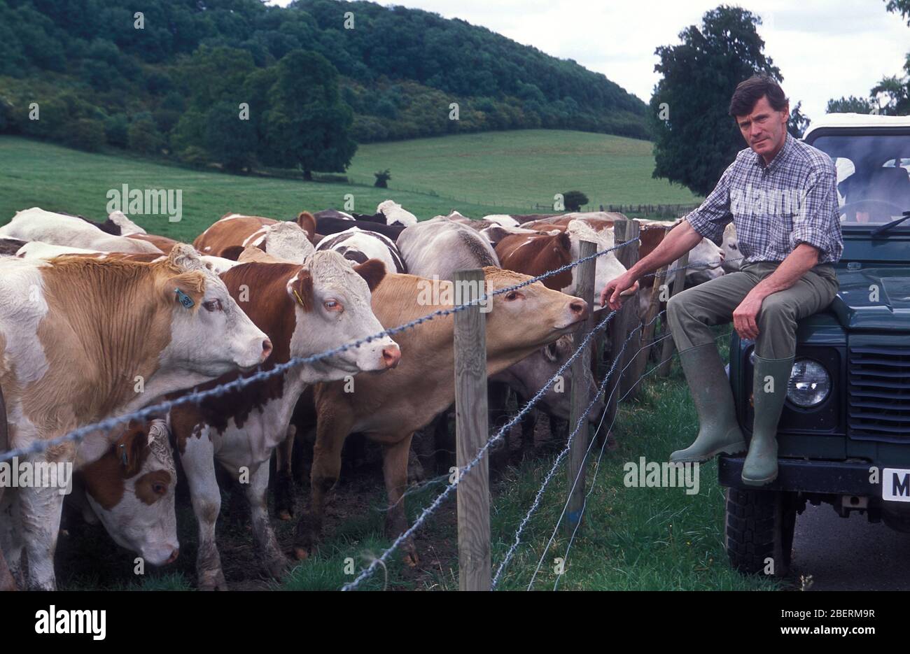 Cattle farmer with his herd in Surrey UK Stock Photo