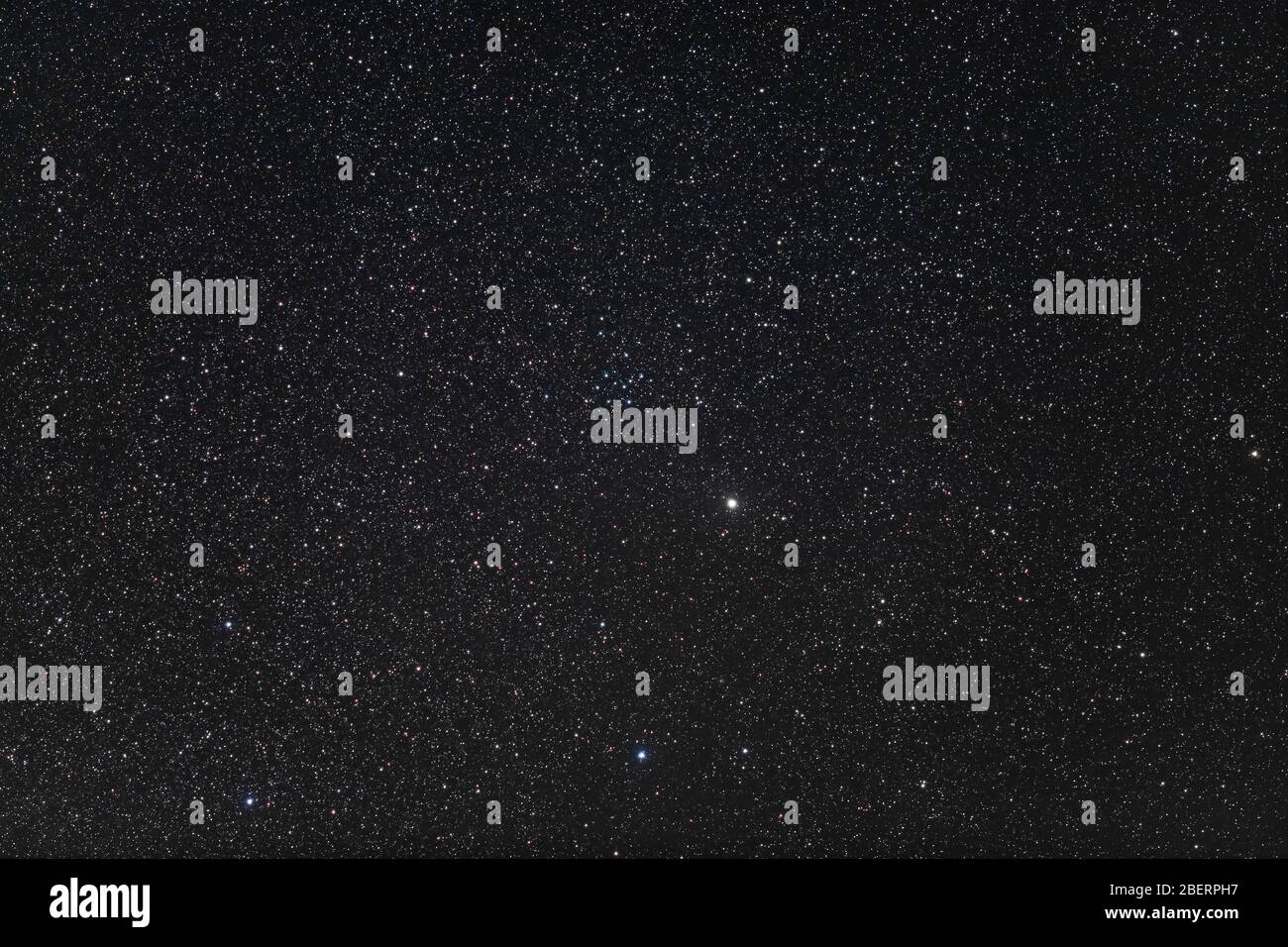 IC 4665 Cluster in Ophiuchus Stock Photo Alamy
