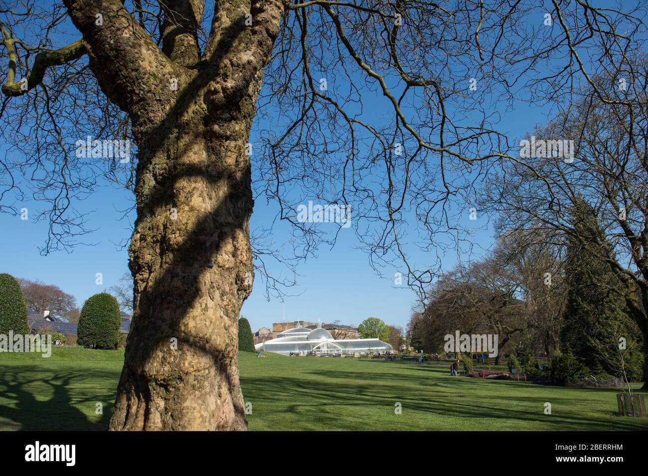 Trossachs, UK. 15th Apr, 2019. Pictured: Wide angle view of thee Botanic Gardens. Scenes in the Botanic Gardens of Glasgow during the Coronavirus Lockdown. Credit: Colin Fisher/Alamy Live News Stock Photo