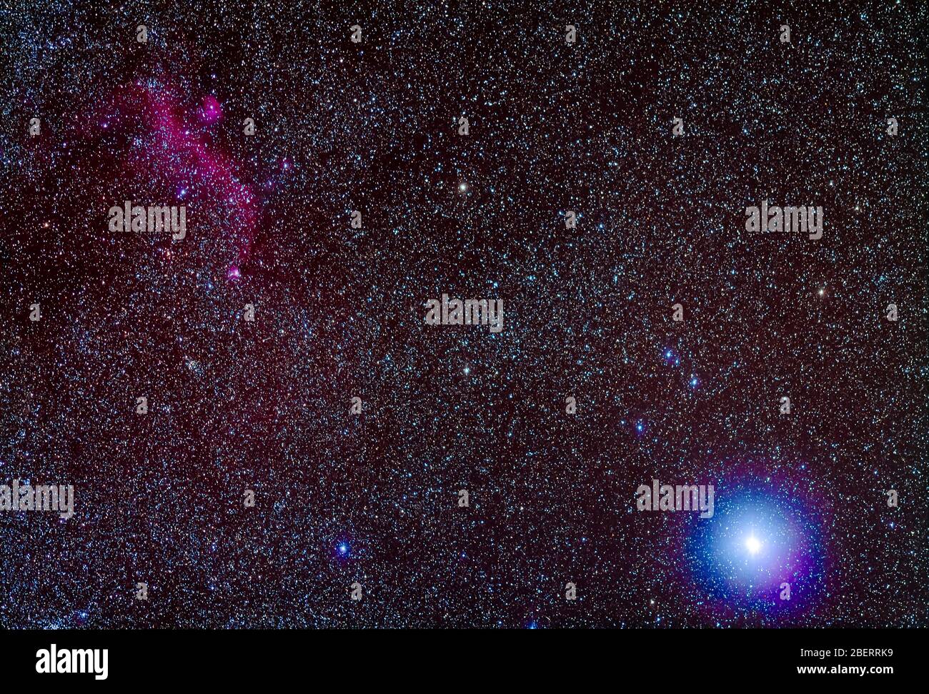 Seagull Nebula and Sirius Stock Photo Alamy