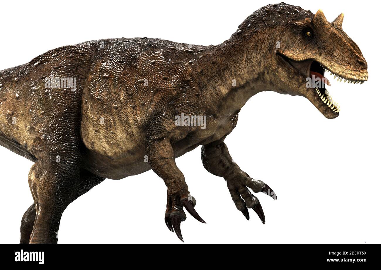 Allosaurus dinosaur side view on white background. Stock Photo