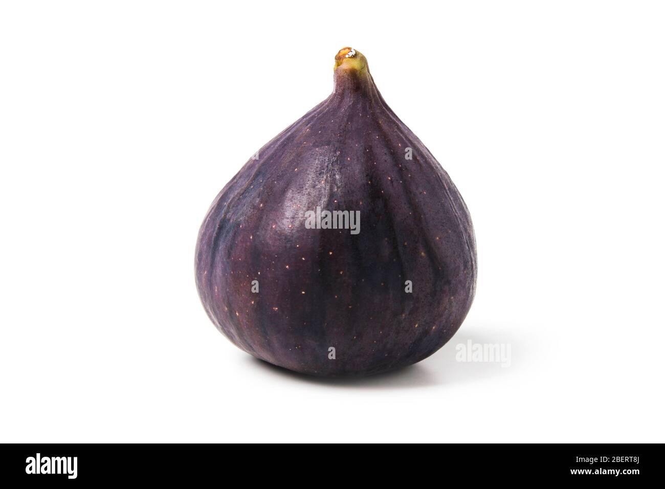 Ripe fig close-up isolated on a white background Stock Photo