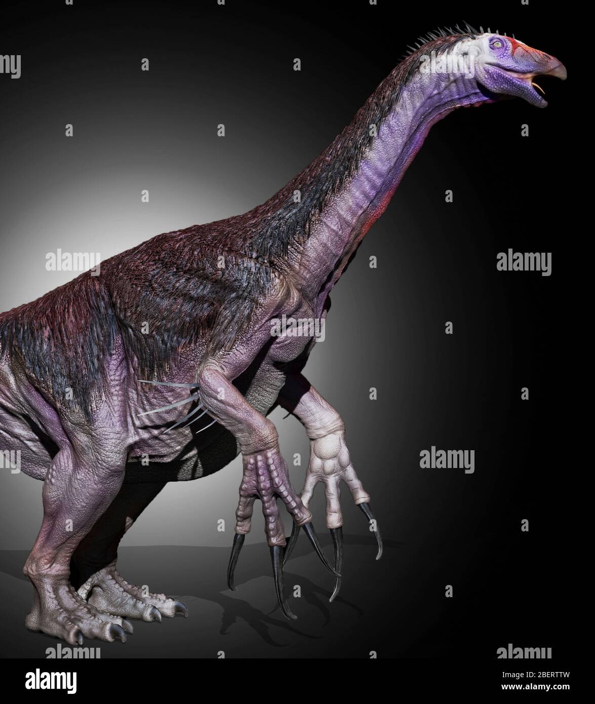 Therizinosaurus dinosaur, side view. Stock Photo