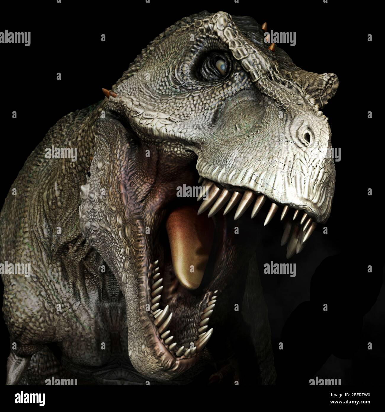 Tyrannosaurus rex dinosaur head, front view. Stock Photo