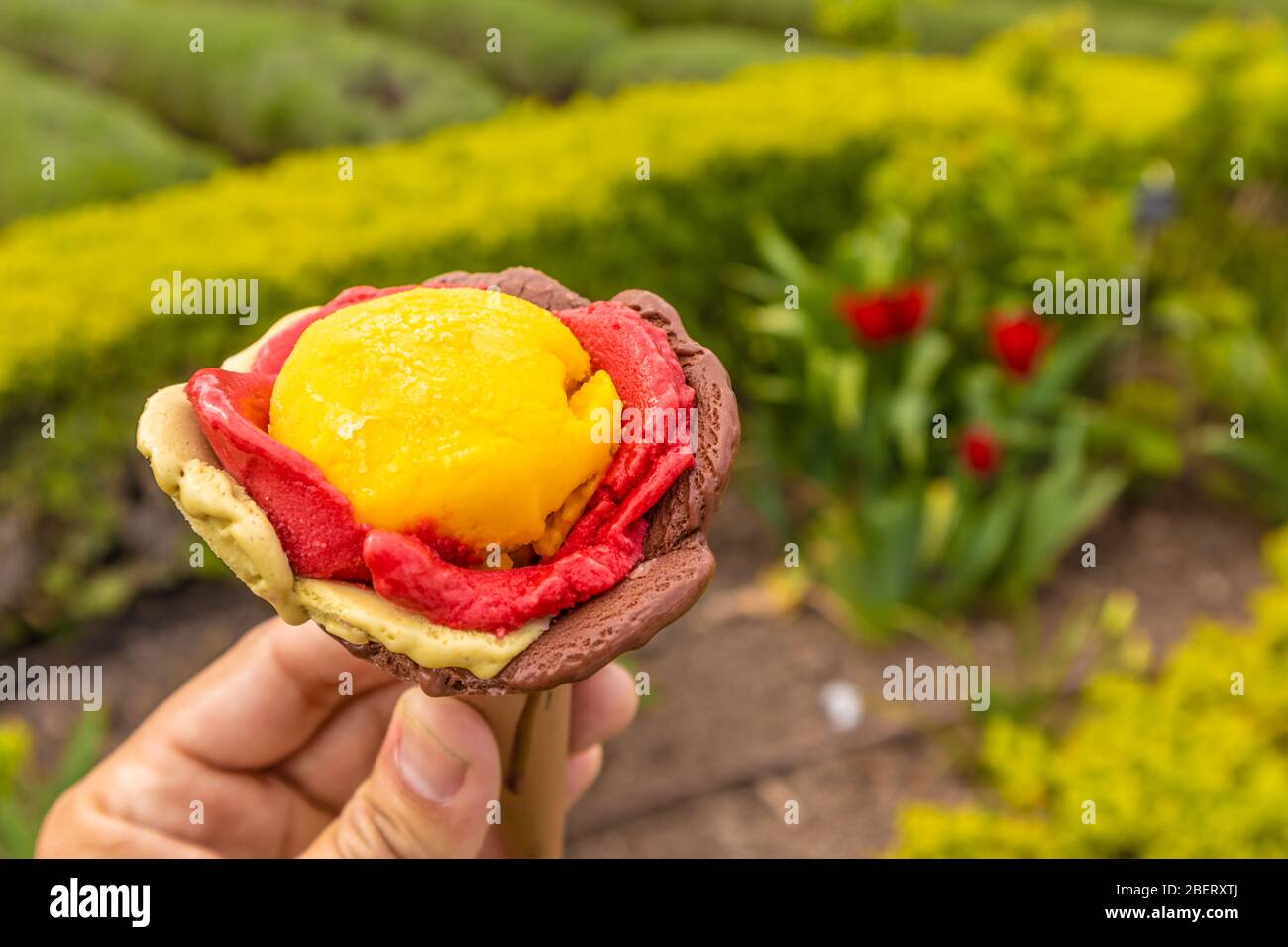 Colorful ice cream in flower shape. Paris, France, Europe Stock Photo