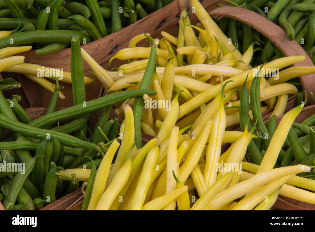 Baskets of yellow and green beans Stock Photo