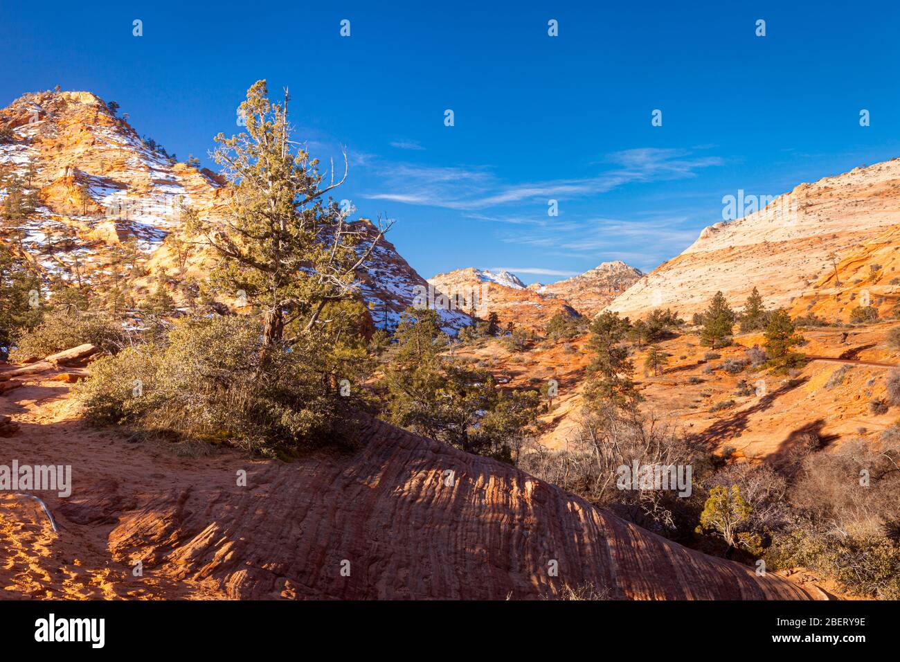 Early morning scene in Zion National Park, Utah USA Stock Photo