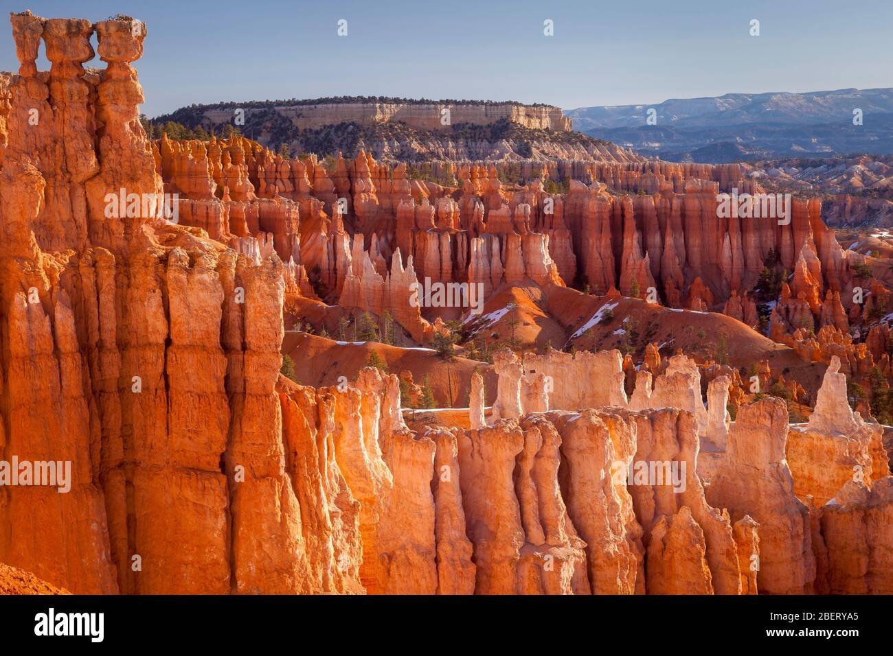 Hoodoos - rock formations in the Amphitheater of Bryce Canyon National Park from Sunset Point, Utah USA Stock Photo
