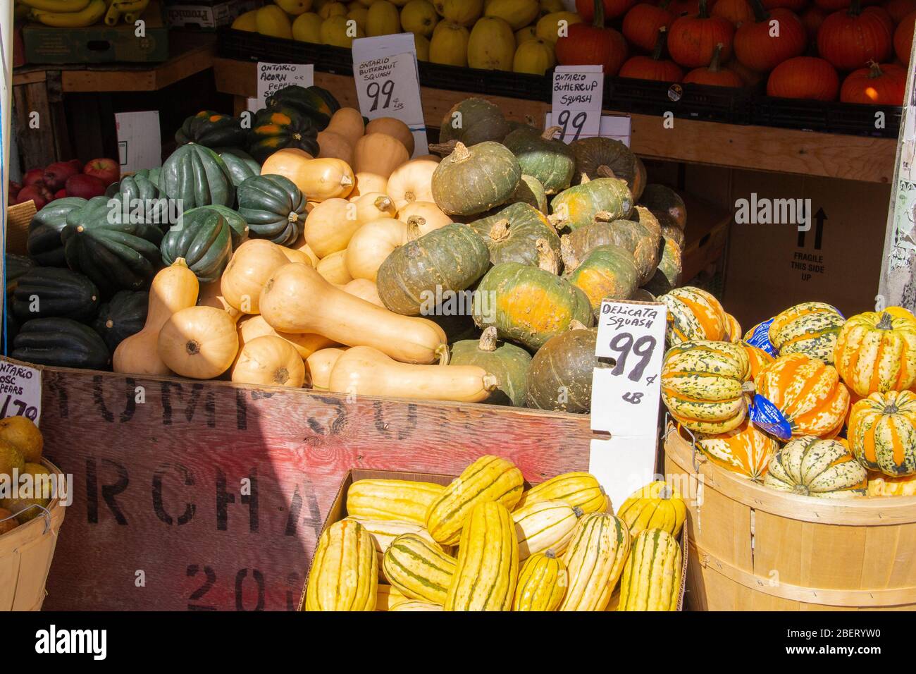 Squash for sale in a market Stock Photo