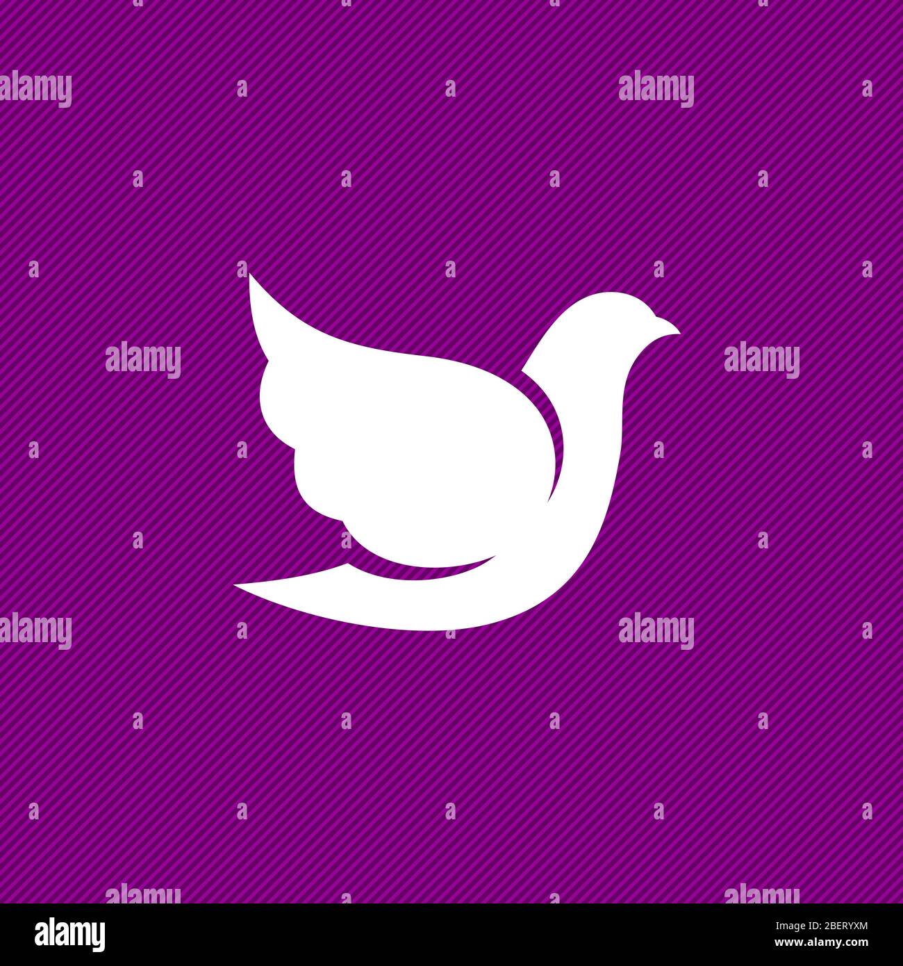 My Image 5