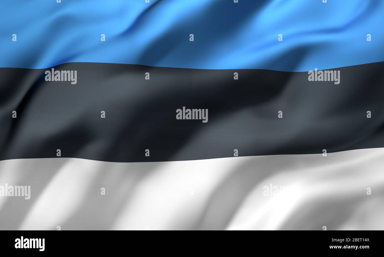 Flag of Estonia blowing in the wind. Full page Estonian flying flag. 3D ...