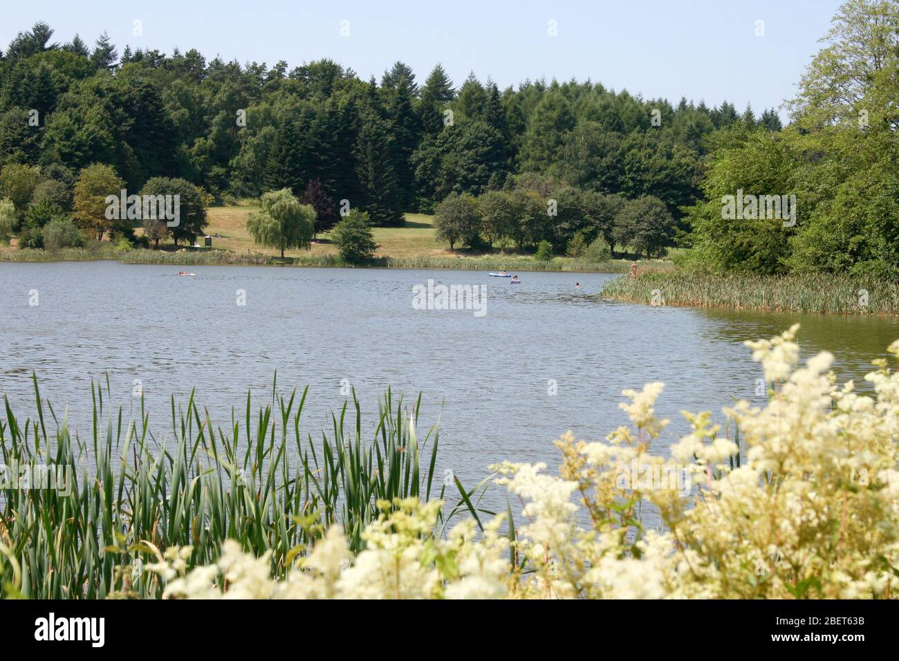 small trees inlaid a Lake Kleiner von Bäumen eingefasster See Stock Photo