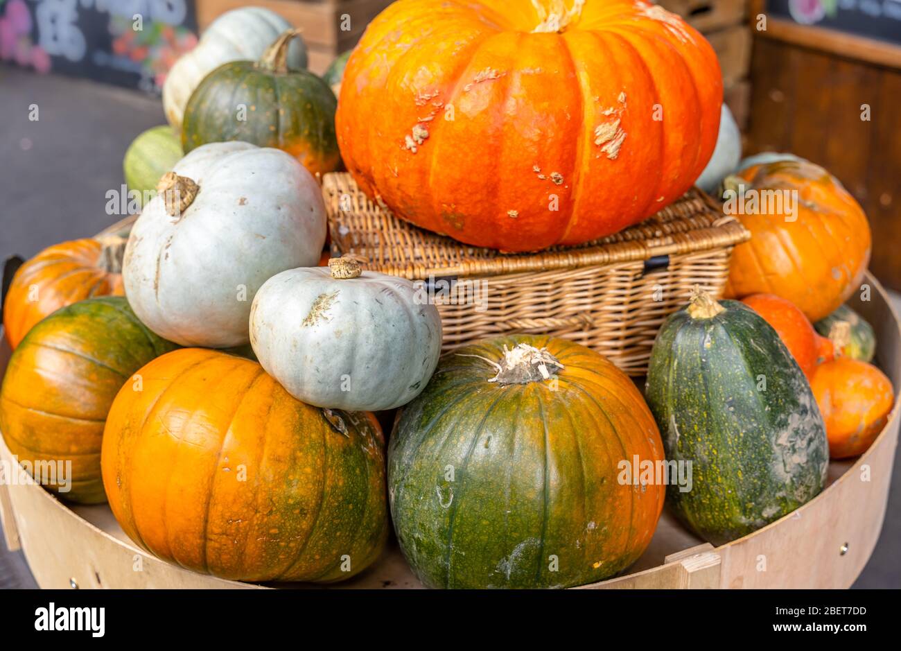 Different kind of pumpkins closeup Stock Photo