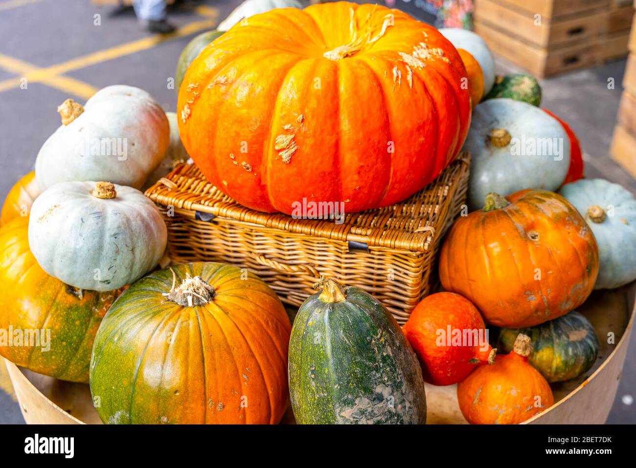 Different kind of pumpkins closeup Stock Photo