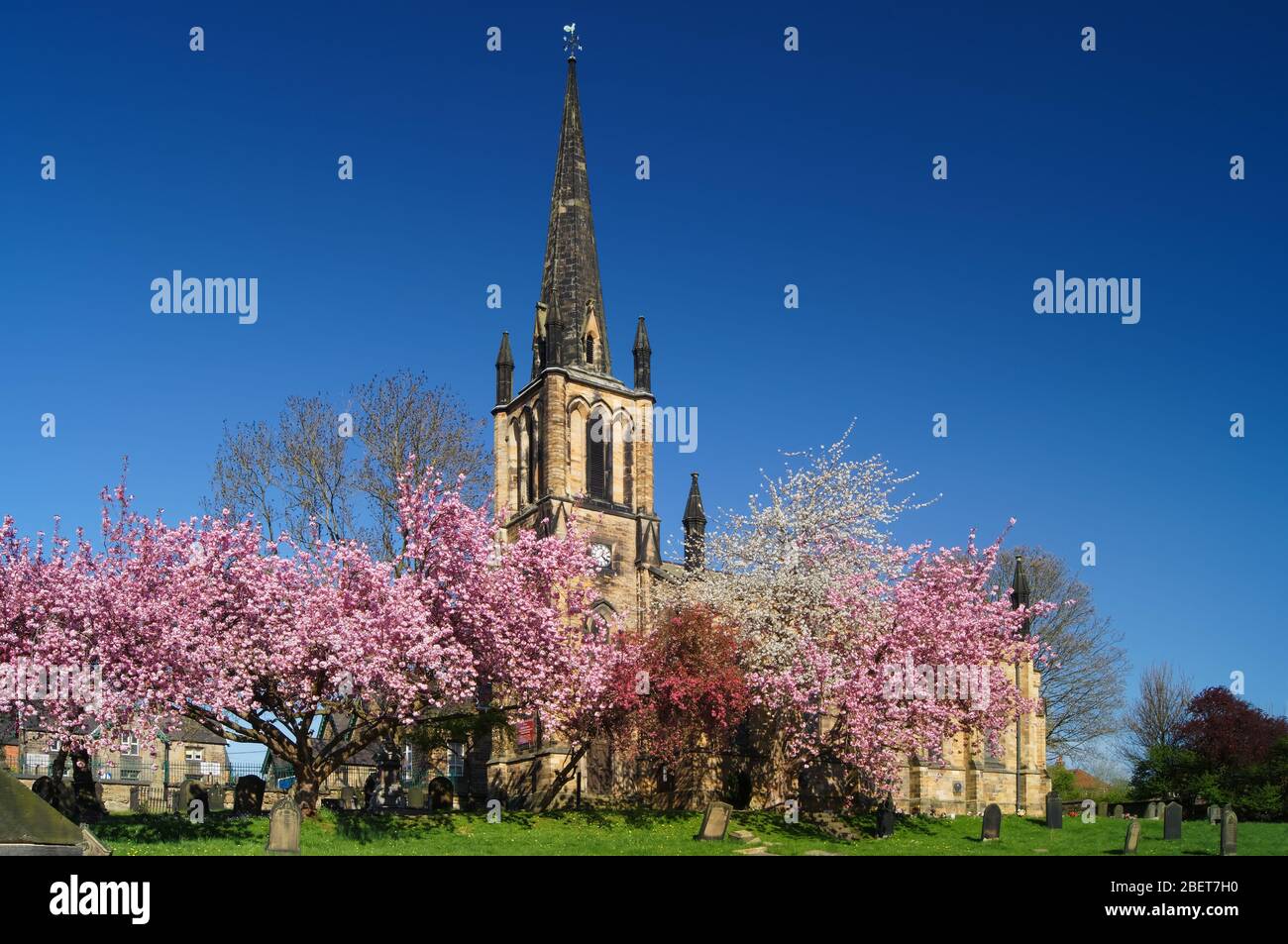 UK,South Yorkshire,Elsecar,Holy Trinity Parish Church in Spring with Cherry Blossom in full bloom Stock Photo