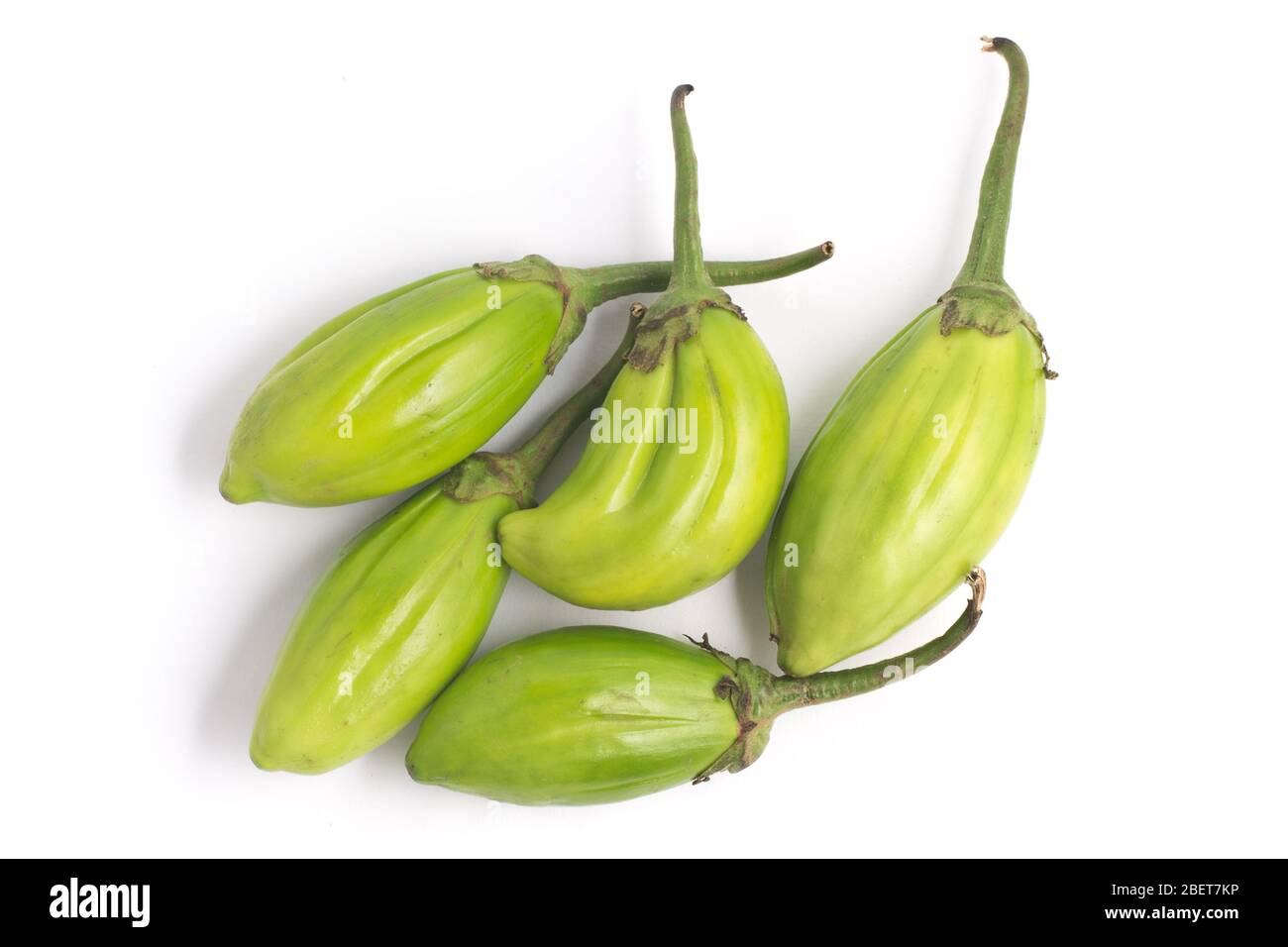 Lot of lot of vibrant green scarlet eggplant vegetable on top of each other  against a black background. Graphic minimalist image of food. Stock Photo