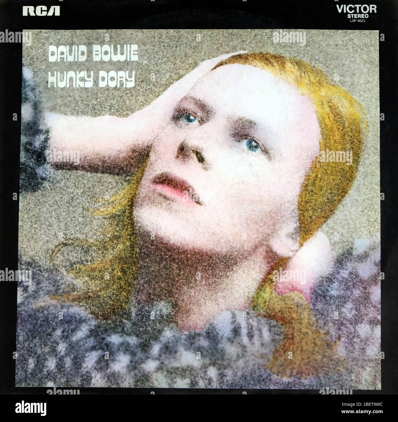 David Bowie: LP front cover 'Hunky Dory' Stock Photo - Alamy