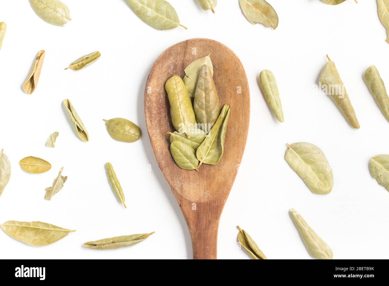 Brazilian Boldo Leaves into a spoon isolated in white background Stock Photo