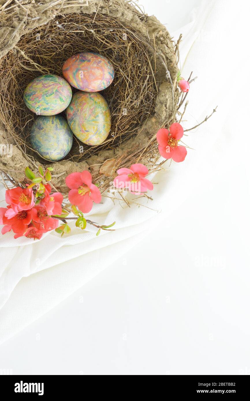 Bird nest with decorated Easter eggs on white background Stock Photo