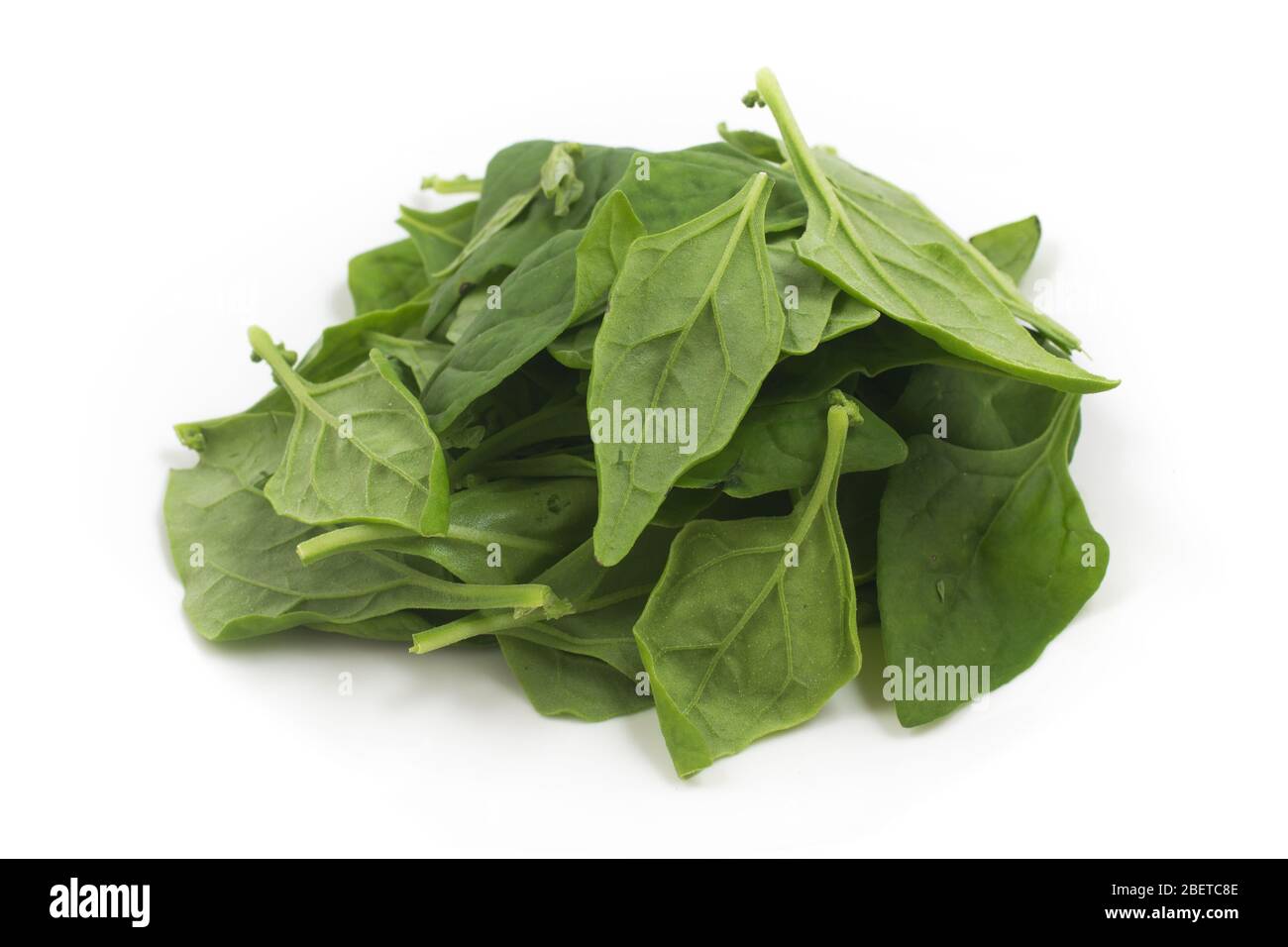 Pile of Brazilian Spinach. Spinacia oleracea over a white background Stock Photo
