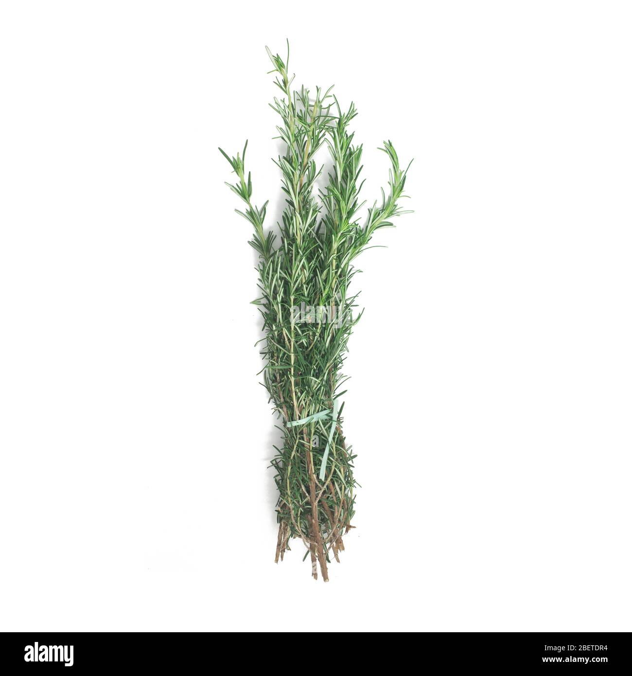 Bunch of Fresh Rosemary isolated in white background Stock Photo - Alamy