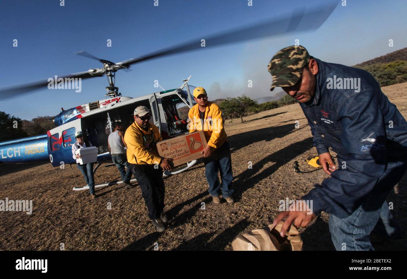 Helicopter used by the Conafor, National Forestry Commission to fight forest fires in the Sierra de Sonora, Mexico. June 2014... (photo: LuisGutierrez Stock Photo
