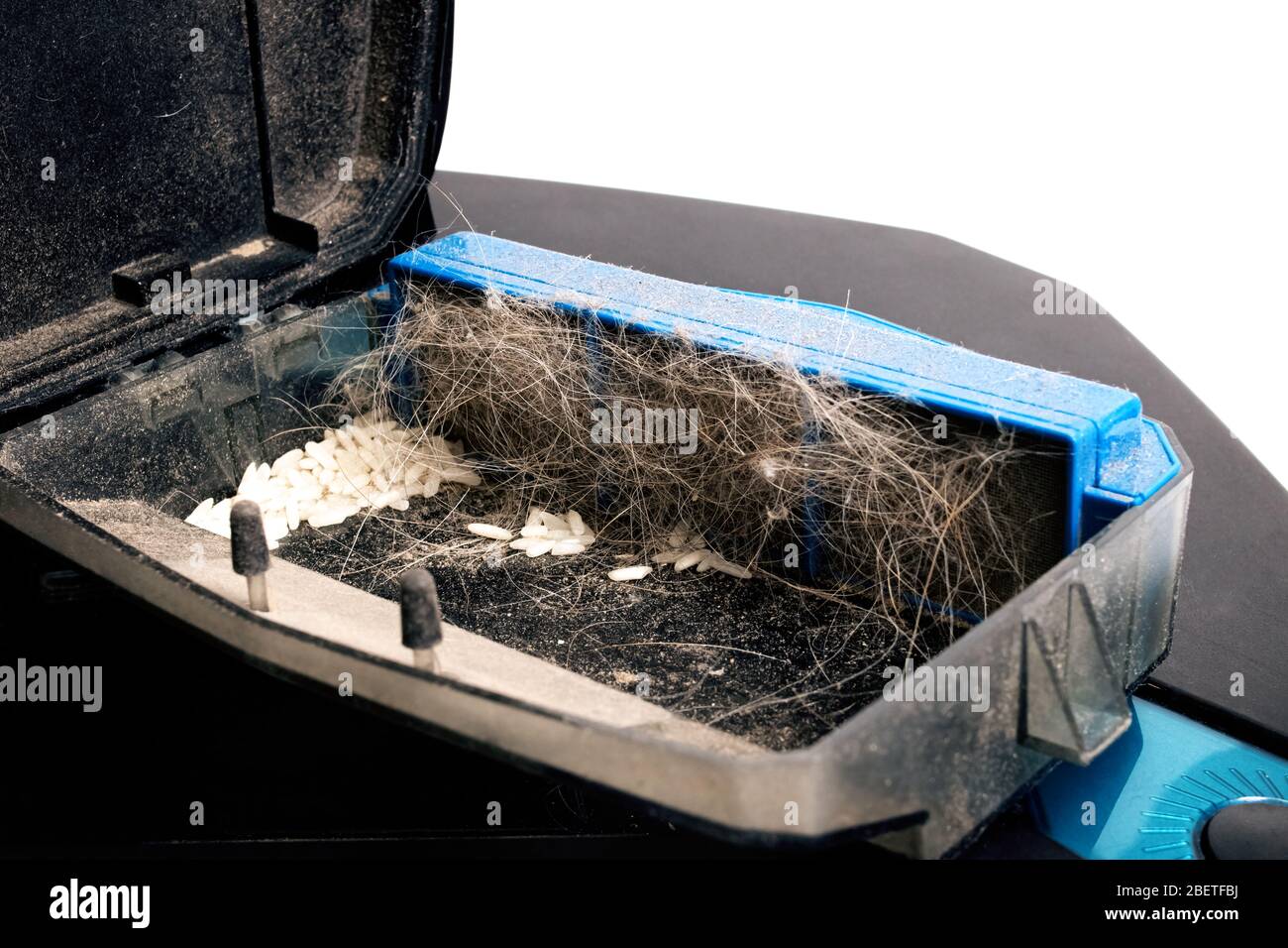 Garbage in a vacuum cleaner container close up Stock Photo Alamy
