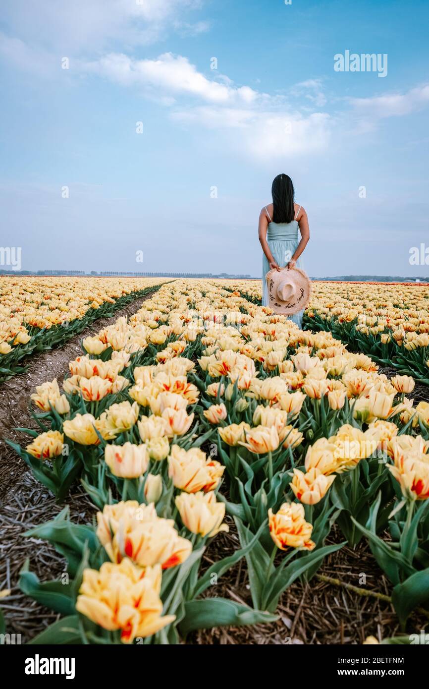 Tulip flower field in the Netherlands, young woman with dress in tulip flower field, girl with