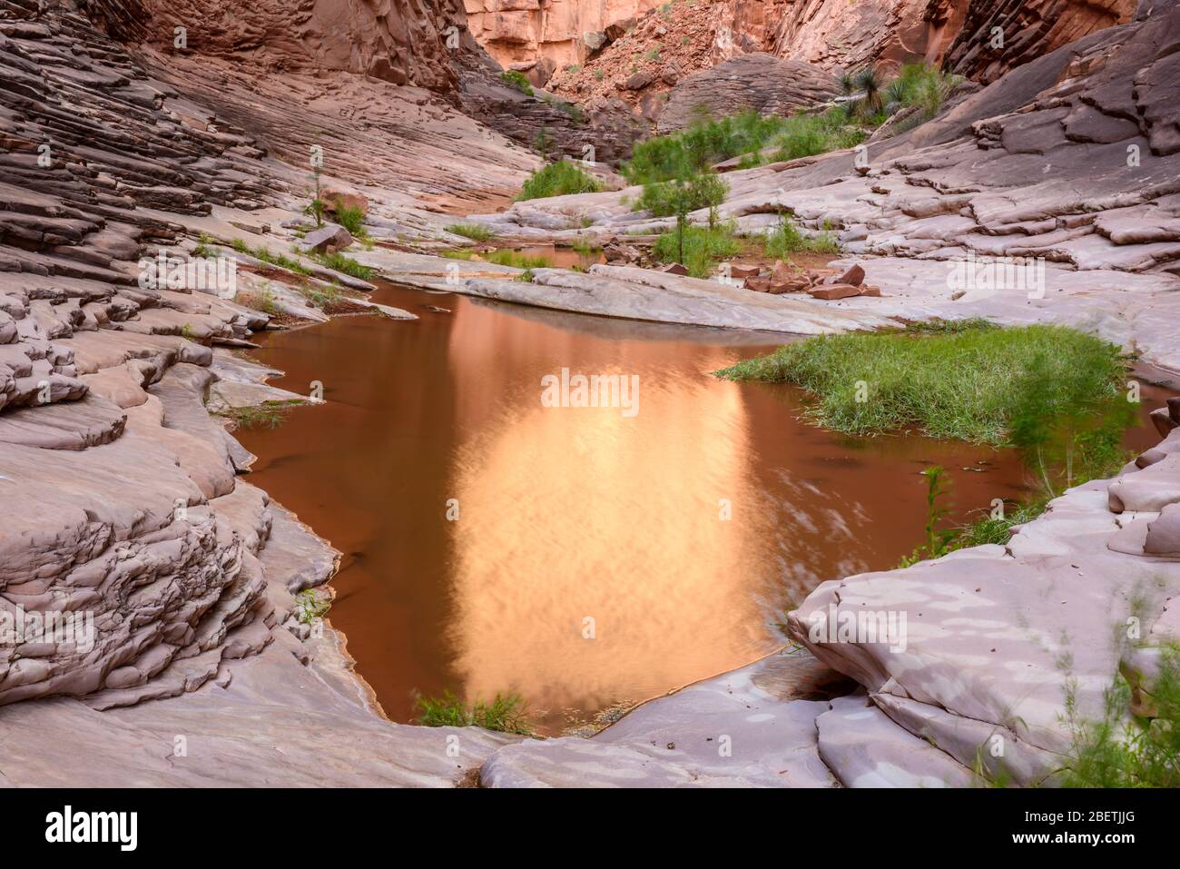 Weathered rocks and reflecting pool in the North Canyon (mile 20), Grand Canyon National Park, Arizona, USA Stock Photo