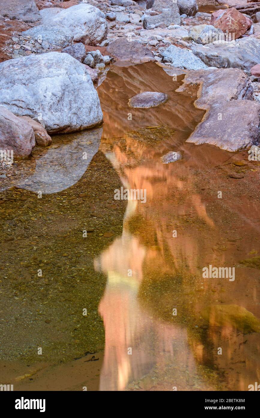 Water stained rocks and reflecting pools in Blacktail Canyon, Grand ...