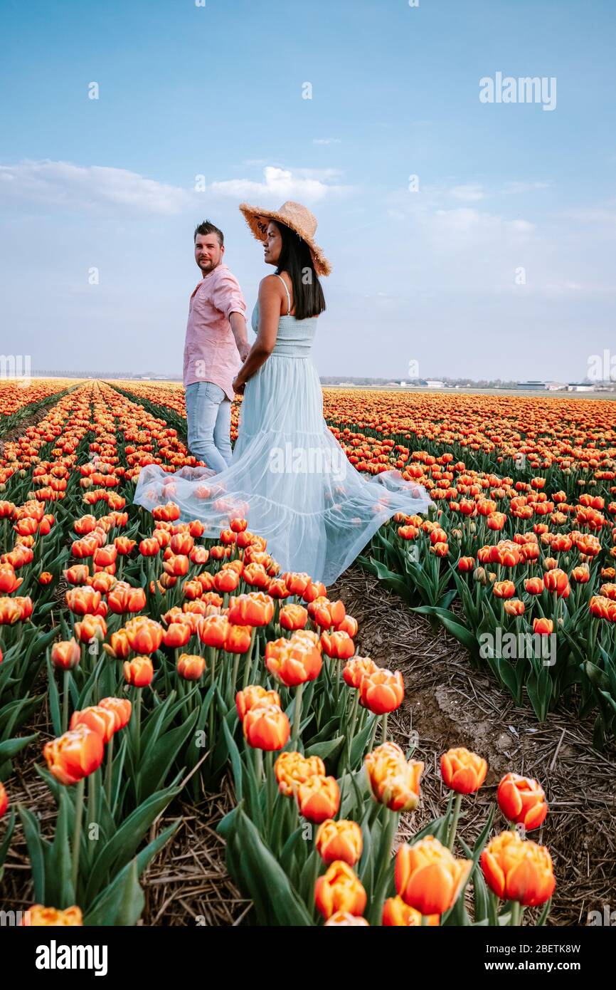 Tulip flower field during sunset dusk in the Netherlands Noordoostpolder  Europe, happy young couple men and woman with dress posing in flower field  in Stock Photo - Alamy