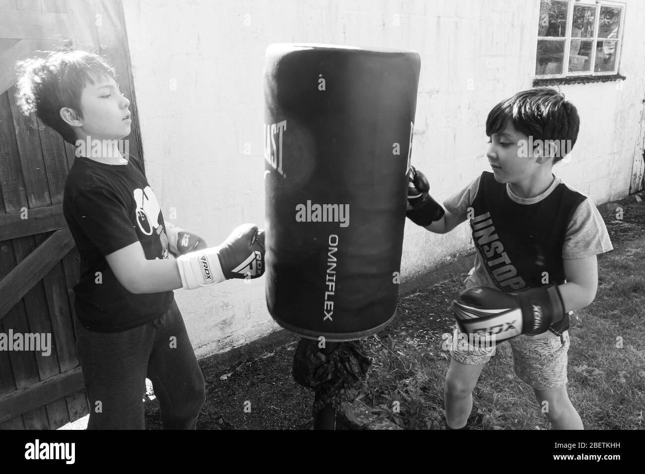 Young brothers wearing boxing gloves punch a punching bag in the garden for exercise. Stock Photo