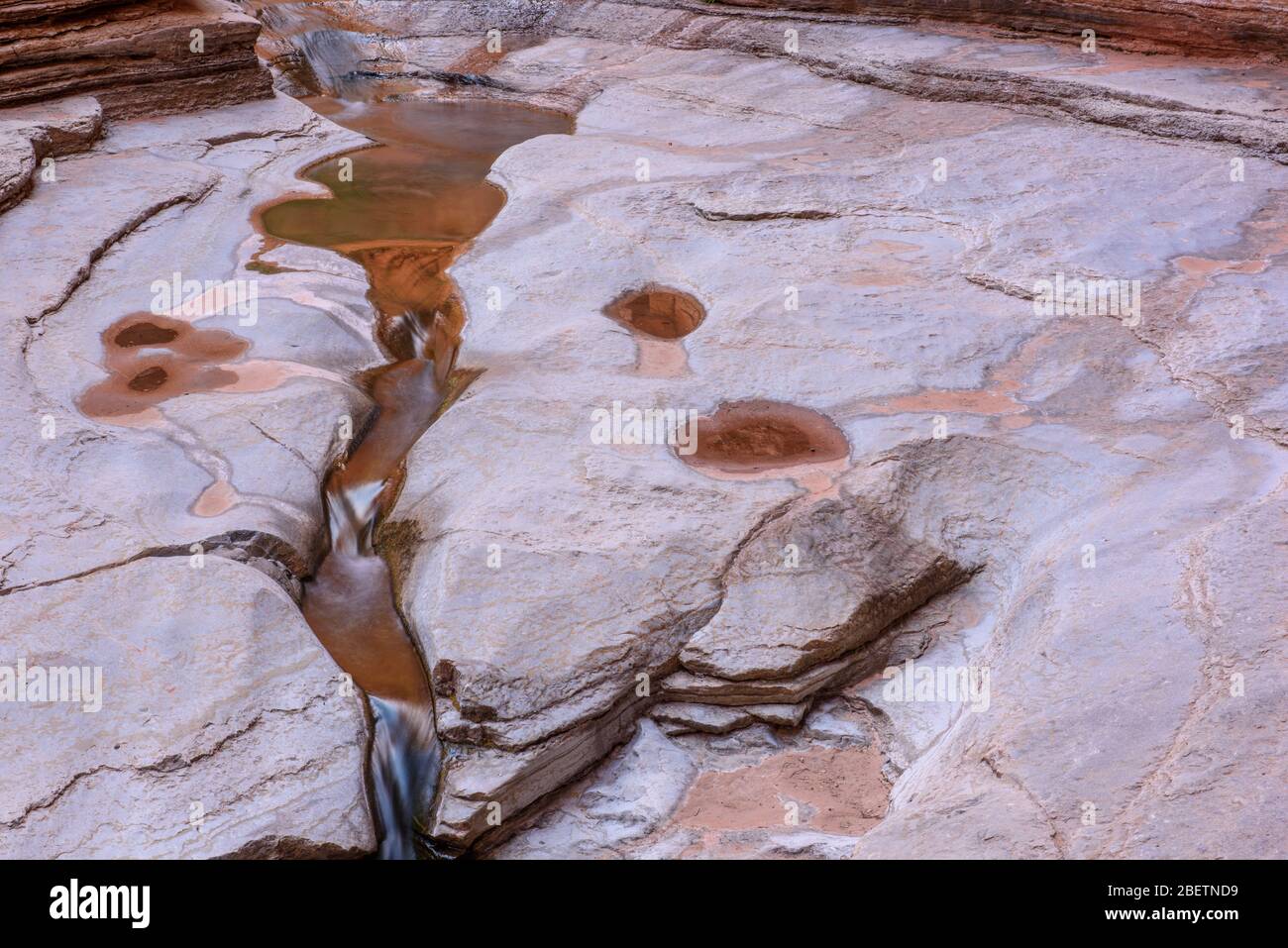 Stream-polished Cambrian Muav Limestone ledges in Matkatamiba Canyon, Grand Canyon National Park, Arizona, USA Stock Photo