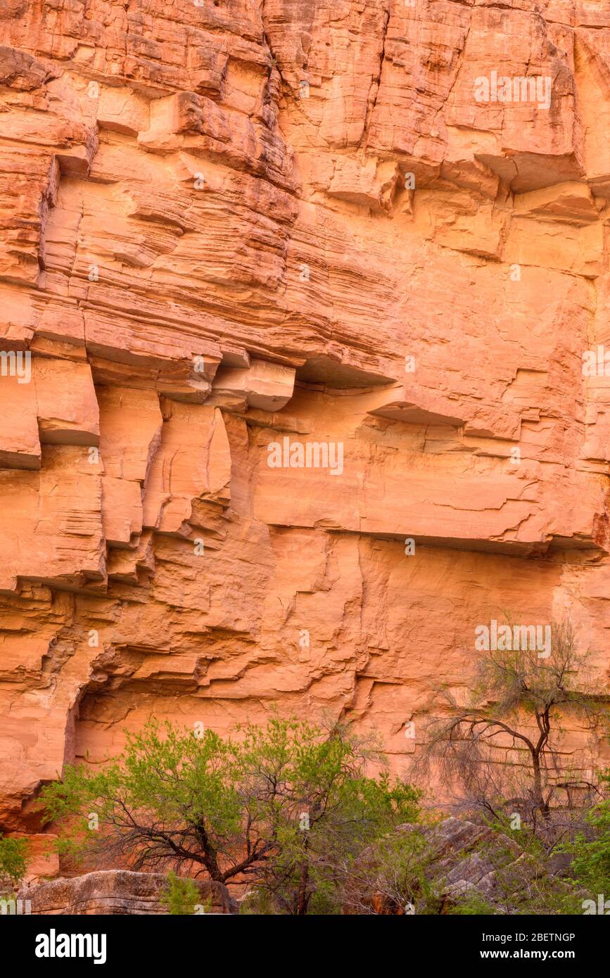 Matkatamiba Canyon Rock walls, Grand Canyon National Park, Arizona, USA Stock Photo