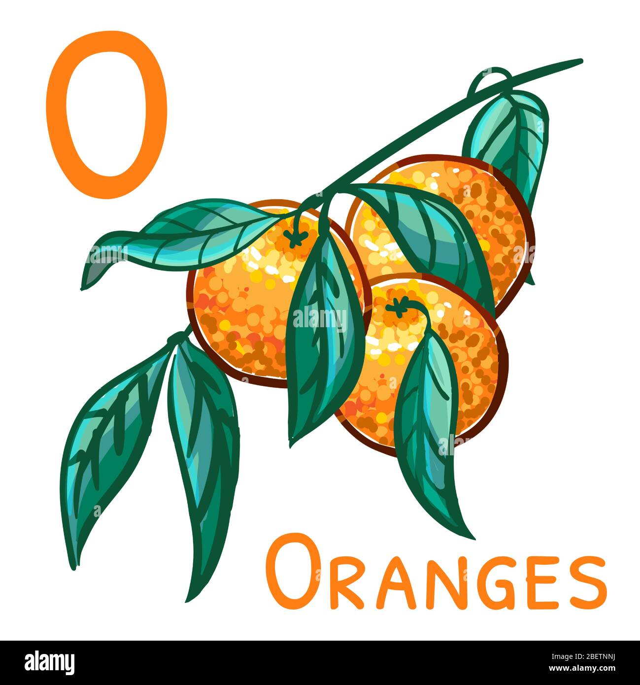Letter o from the english alphabet, word cards - oranges. Vector Illustration with a branch of oranges for a childrens book. Stock Vector