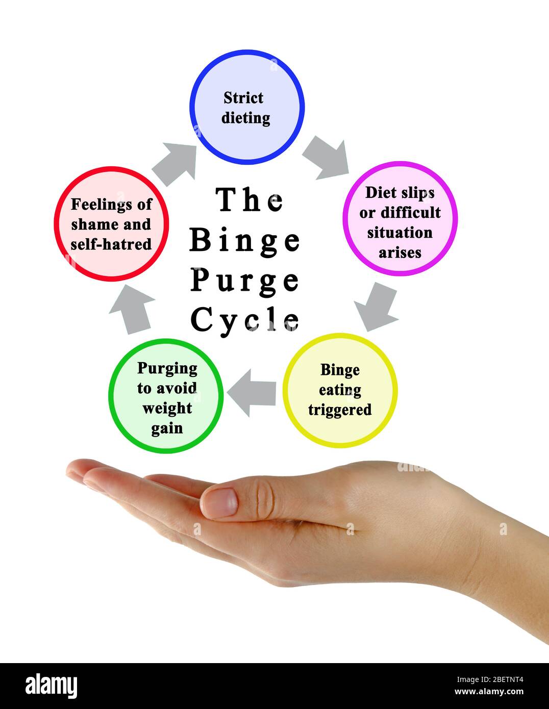 Stages of Binge Purge Cycle Stock Photo Alamy