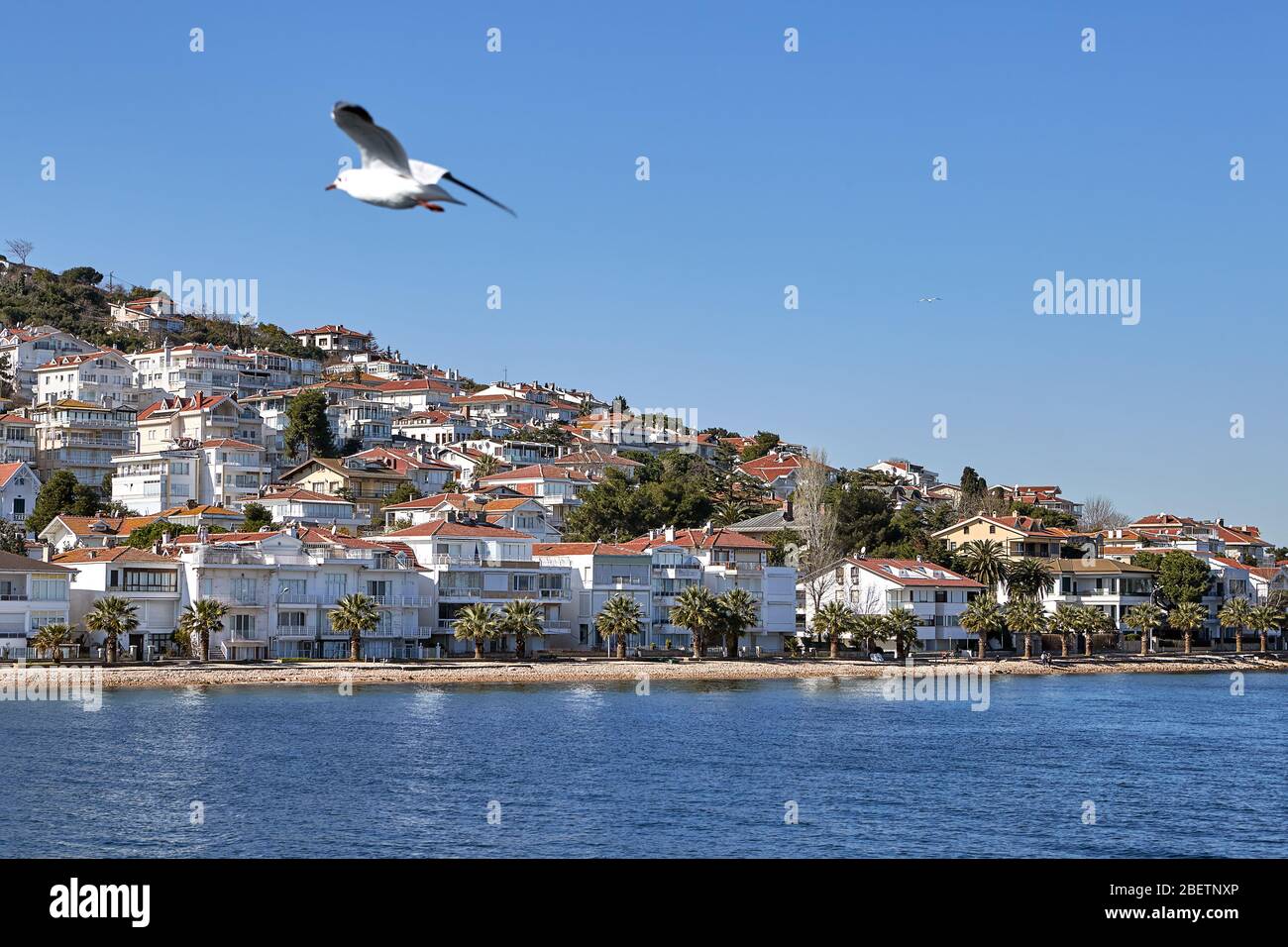 Istanbul, Turkey - February 13, 2020: View of the beach of Kinaliada on a sunny winter day from the Sea of Marmara. Stock Photo