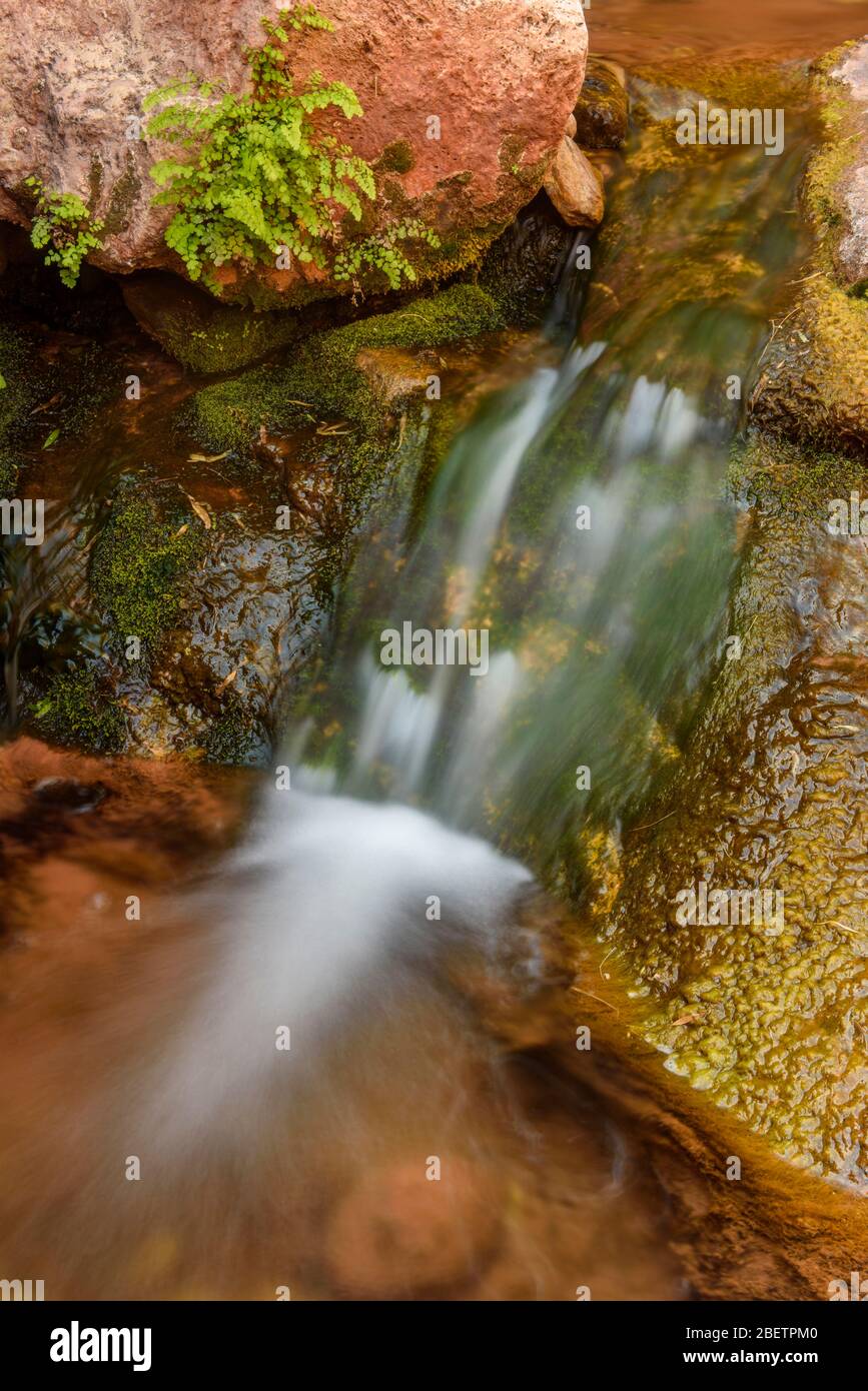 Elves Chasm waterfall with, Grand Canyon National Park, Arizona, USA Stock Photo