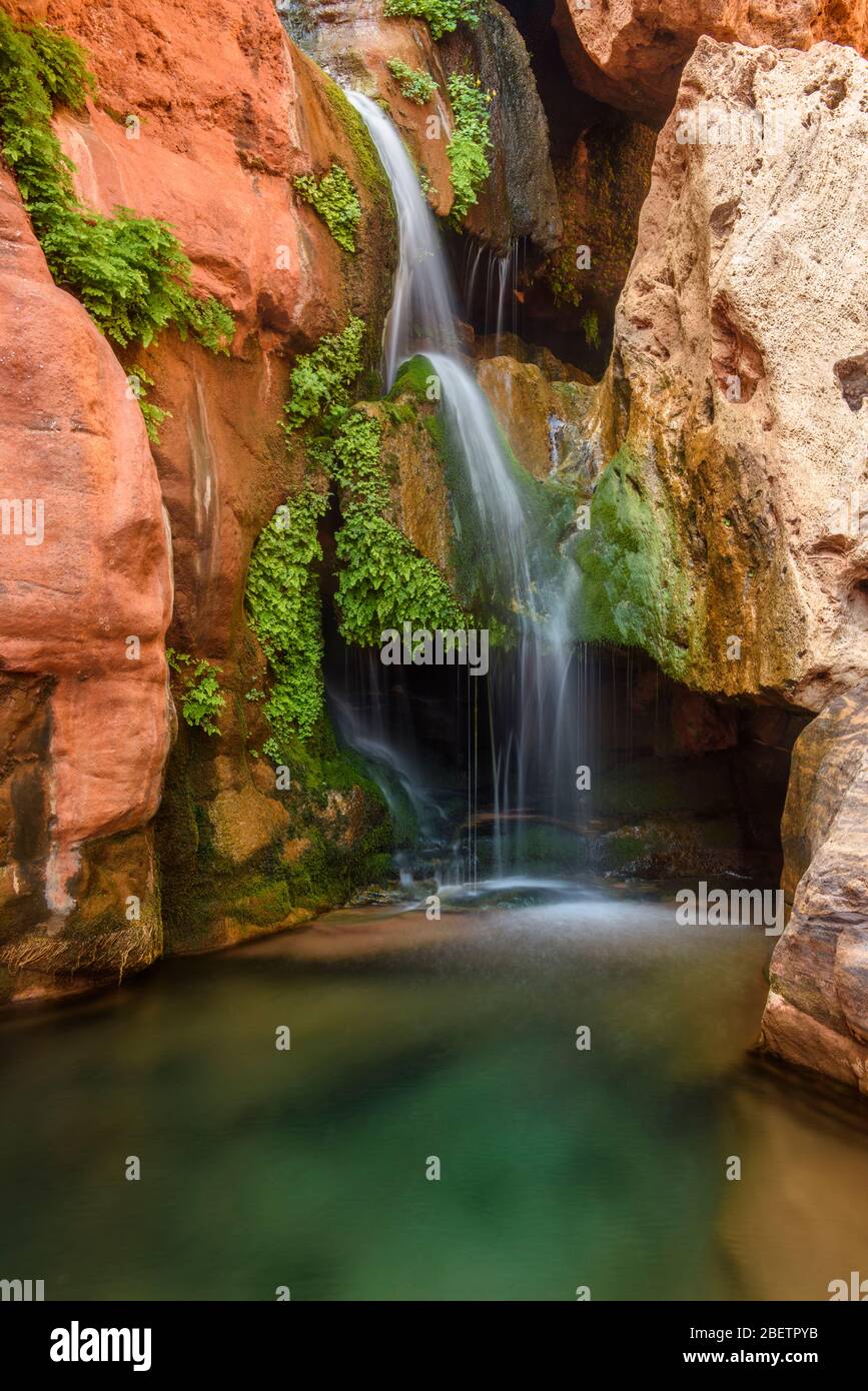 Elves Chasm waterfall, Grand Canyon National Park, Arizona, USA Stock Photo