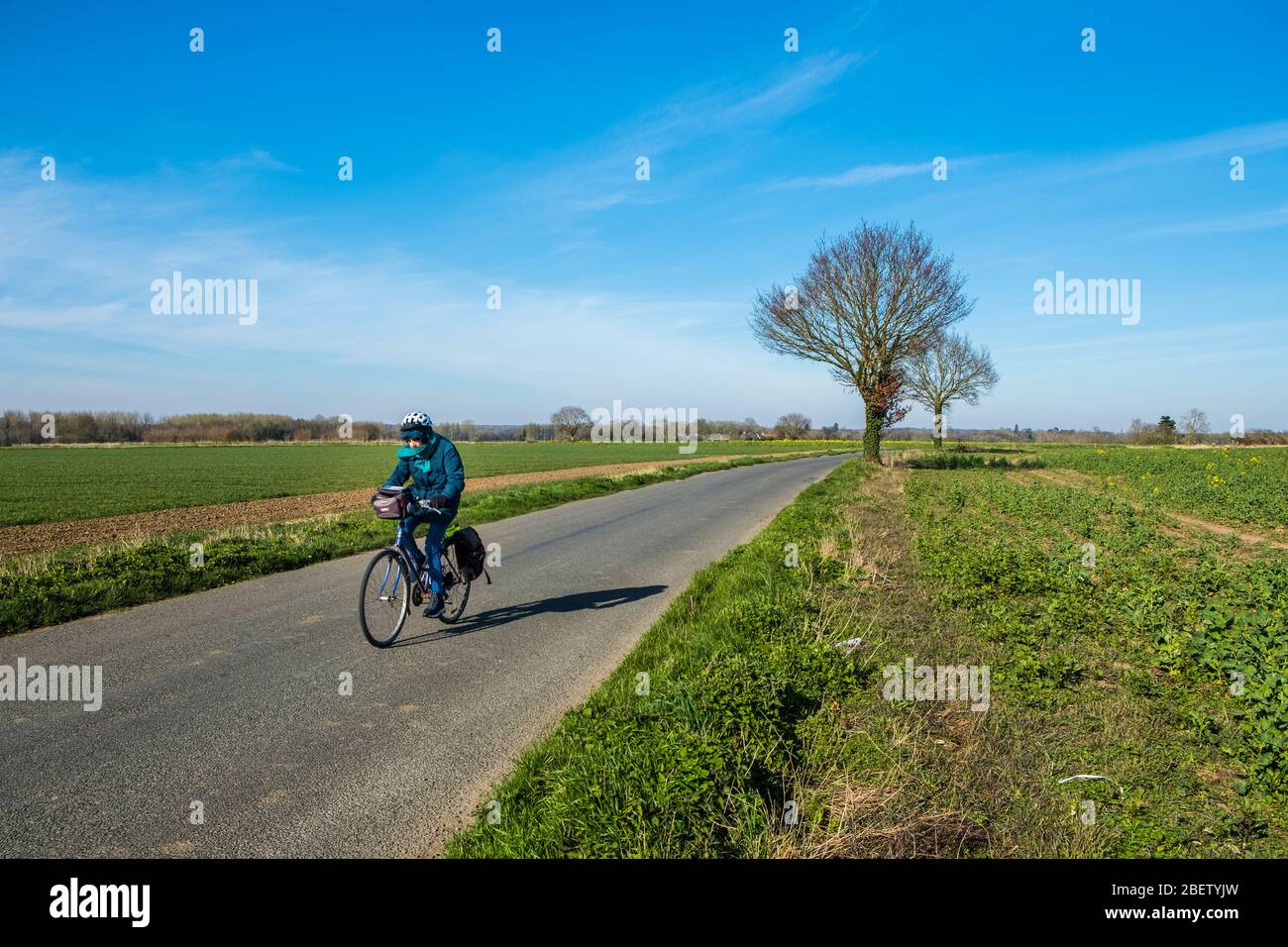 Lone cyclist, cycling alone on a country road near to Eye, Suffolk, UK. Stock Photo