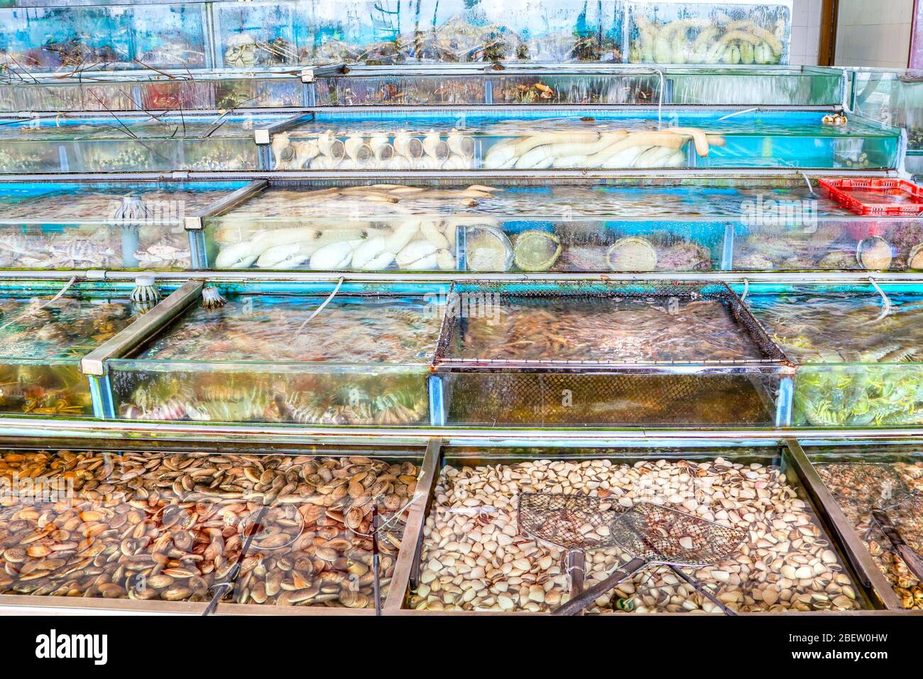 Live fish, lobsters, crabs and other mollusk seafood are crammed into fish tanks at the seafood market in Sai Kung, Hong Kong. Sai Kung village is fam Stock Photo