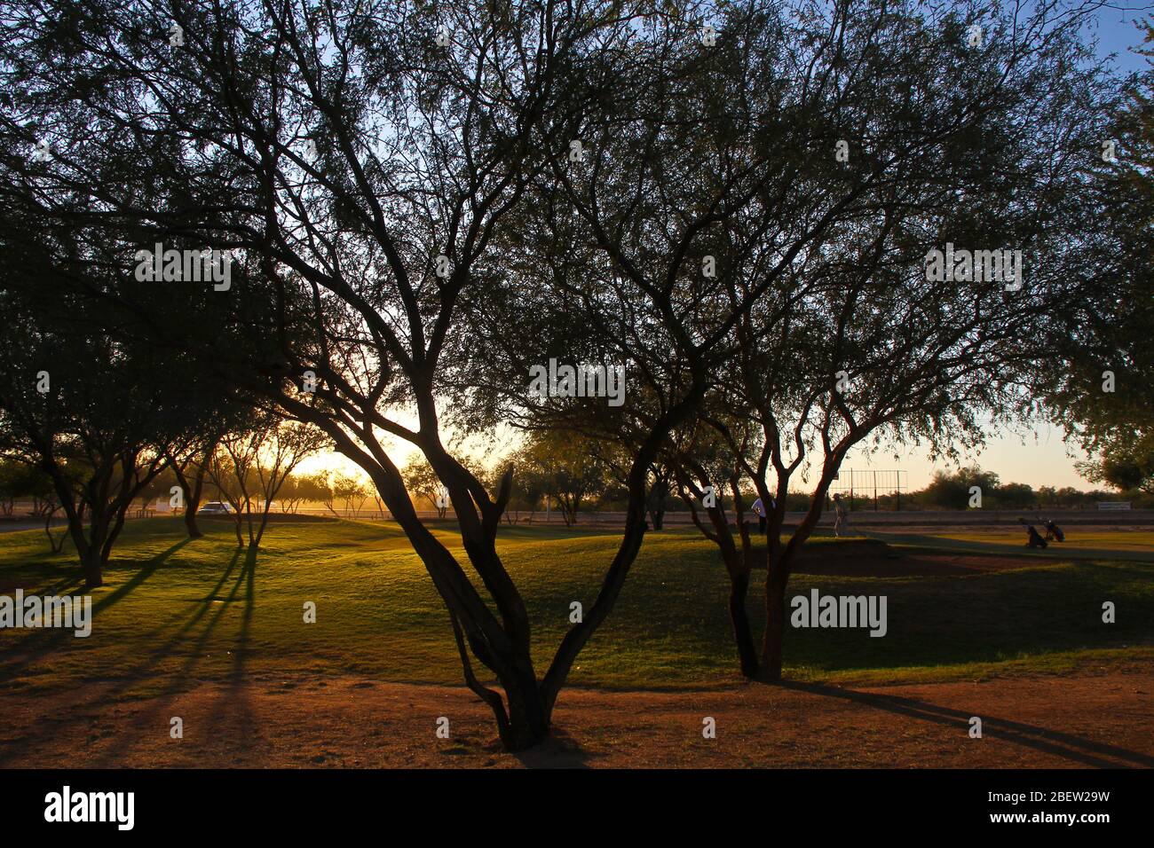 Club de Golf estilo desertico en el real de Catorce (Foto:LuisGutierrez/NortePhoto.com) Stock Photo